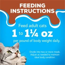 Friskies YUMbelievaBOX YUM-azing Extra Gravy Chunky Variety Pack Canned Cat Food -Wellness Sales 163996 PT8. AC SS1800 V1554147434