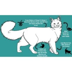 Chicken Soup For The Soul Kitten Chicken, Brown Rice & Pea Recipe Dry Cat Food -Wellness Sales 165109 PT4. AC SS1800 V1694721810