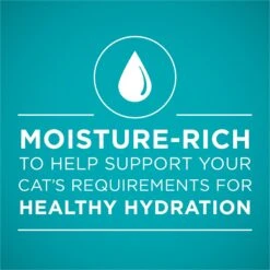 Purina ONE Grain-Free Natural Pate Healthy Kitten Chicken & Salmon Recipe Wet Kitten Food 11 Purina ONE Grain-Free Natural Pate Healthy Kitten Chicken & Salmon Recipe Wet Kitten Food -Wellness Sales 166133 PT2. AC SS1800 V1658226881