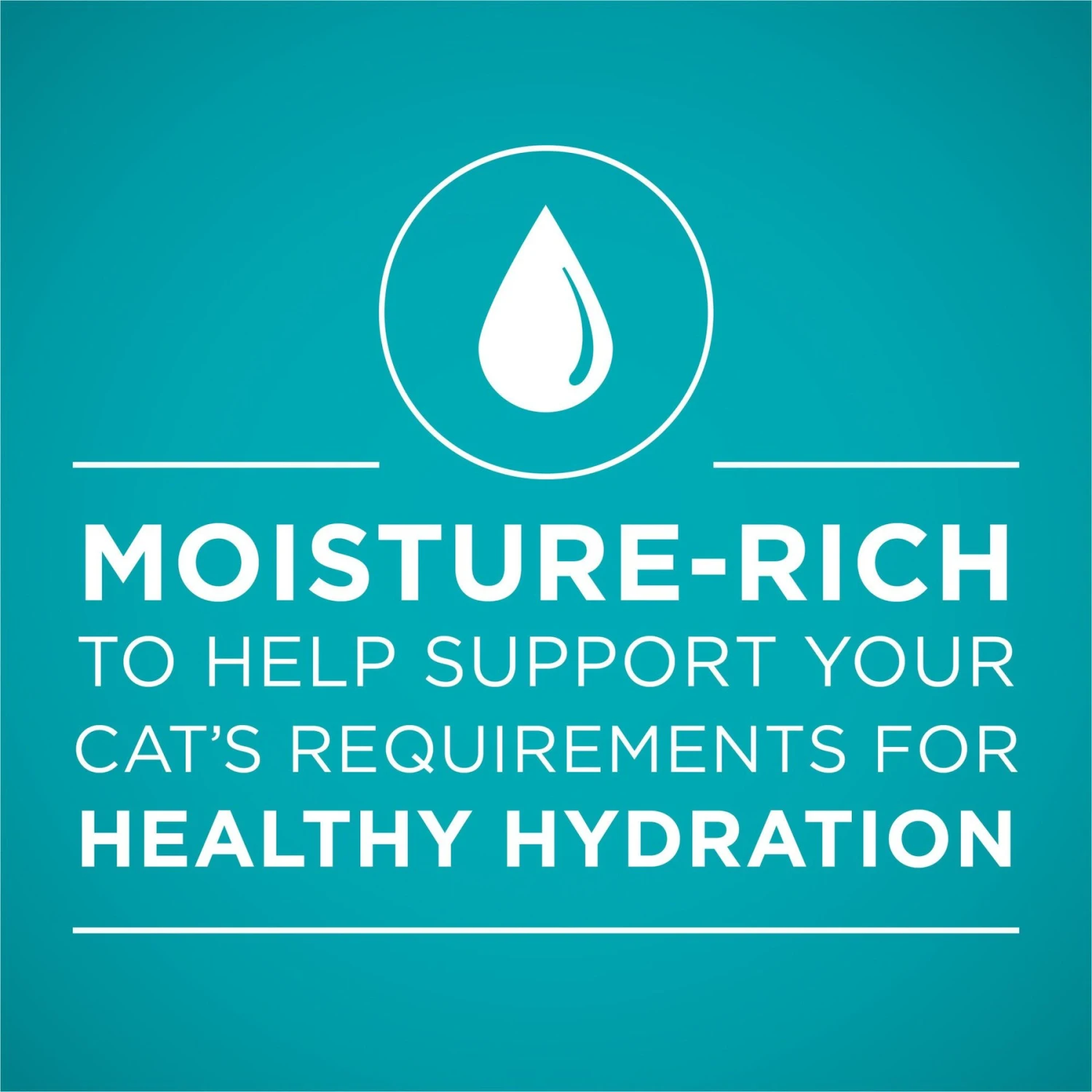 Purina ONE Grain-Free Natural Pate Healthy Kitten Chicken & Salmon Recipe Wet Kitten Food 3 Purina ONE Grain-Free Natural Pate Healthy Kitten Chicken & Salmon Recipe Wet Kitten Food - Image 3