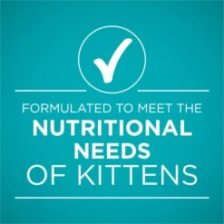 Purina ONE Grain-Free Natural Pate Healthy Kitten Chicken & Salmon Recipe Wet Kitten Food 14 Purina ONE Grain-Free Natural Pate Healthy Kitten Chicken & Salmon Recipe Wet Kitten Food -Wellness Sales 166133 PT5. AC SS1800 V1658226573