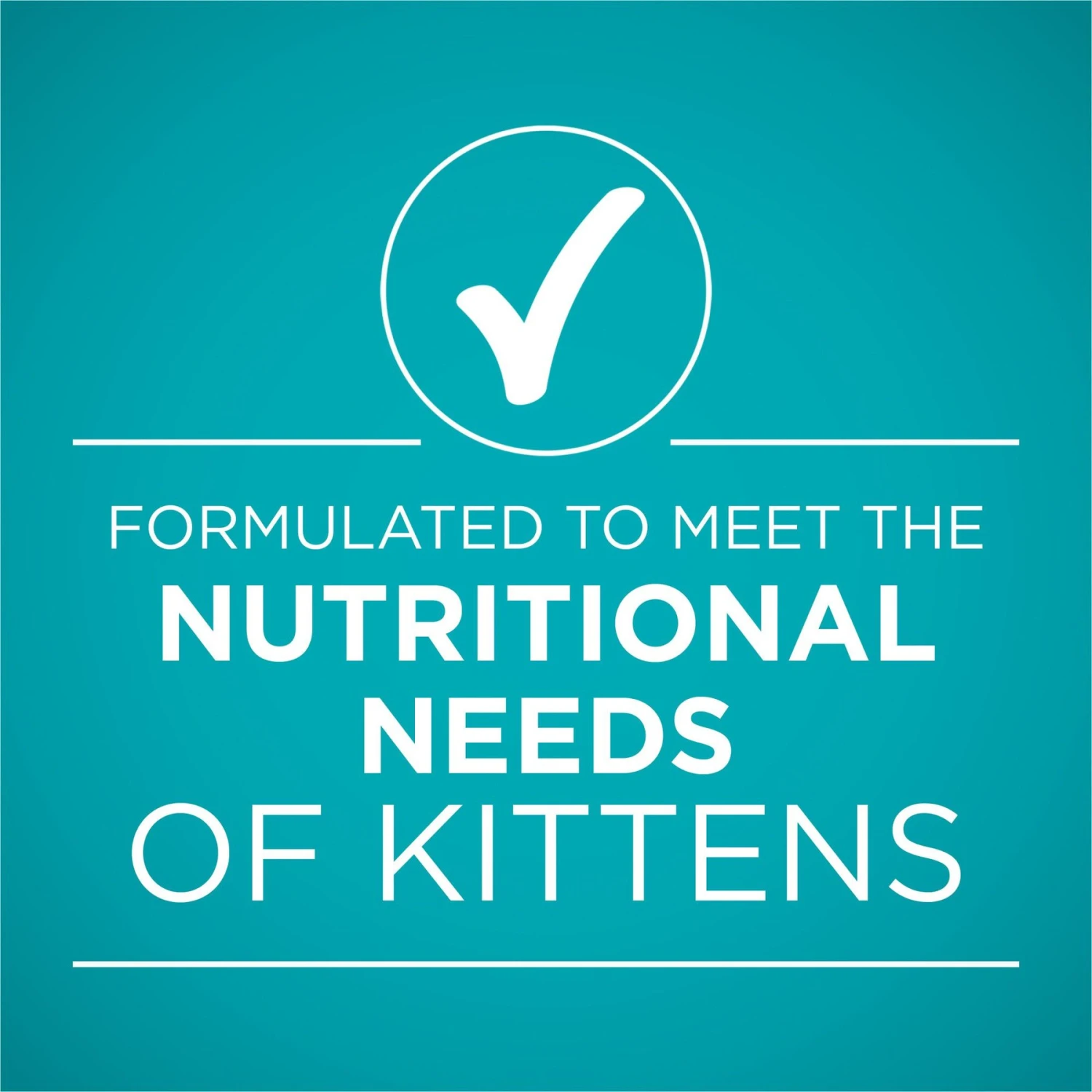 Purina ONE Grain-Free Natural Pate Healthy Kitten Chicken & Salmon Recipe Wet Kitten Food 6 Purina ONE Grain-Free Natural Pate Healthy Kitten Chicken & Salmon Recipe Wet Kitten Food - Image 6