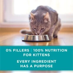 Purina ONE Grain-Free Natural Pate Healthy Kitten Chicken & Salmon Recipe Wet Kitten Food 15 Purina ONE Grain-Free Natural Pate Healthy Kitten Chicken & Salmon Recipe Wet Kitten Food -Wellness Sales 166133 PT6. AC SS1800 V1658190301