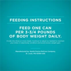 Purina ONE Grain-Free Natural Pate Healthy Kitten Chicken & Salmon Recipe Wet Kitten Food 16 Purina ONE Grain-Free Natural Pate Healthy Kitten Chicken & Salmon Recipe Wet Kitten Food -Wellness Sales 166133 PT7. AC SS1800 V1658200572