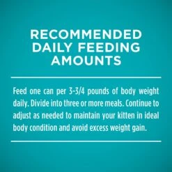 Purina ONE Grain-Free Natural Pate Healthy Kitten Chicken & Salmon Recipe Wet Kitten Food 17 Purina ONE Grain-Free Natural Pate Healthy Kitten Chicken & Salmon Recipe Wet Kitten Food -Wellness Sales 166133 PT8. AC SS1800 V1566932821