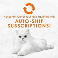 Fancy Feast Savory Centers Chicken Canned Cat Food 16 Fancy Feast Savory Centers Chicken Canned Cat Food -Wellness Sales 169571 PT7. AC SS1800 V1560795203