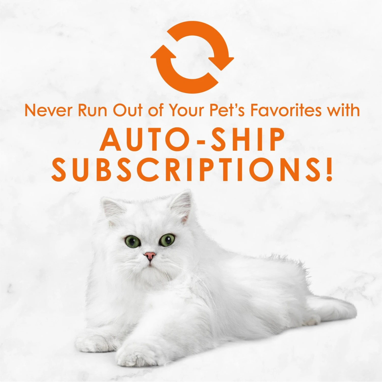 Fancy Feast Savory Centers Chicken Canned Cat Food 8 Fancy Feast Savory Centers Chicken Canned Cat Food - Image 8