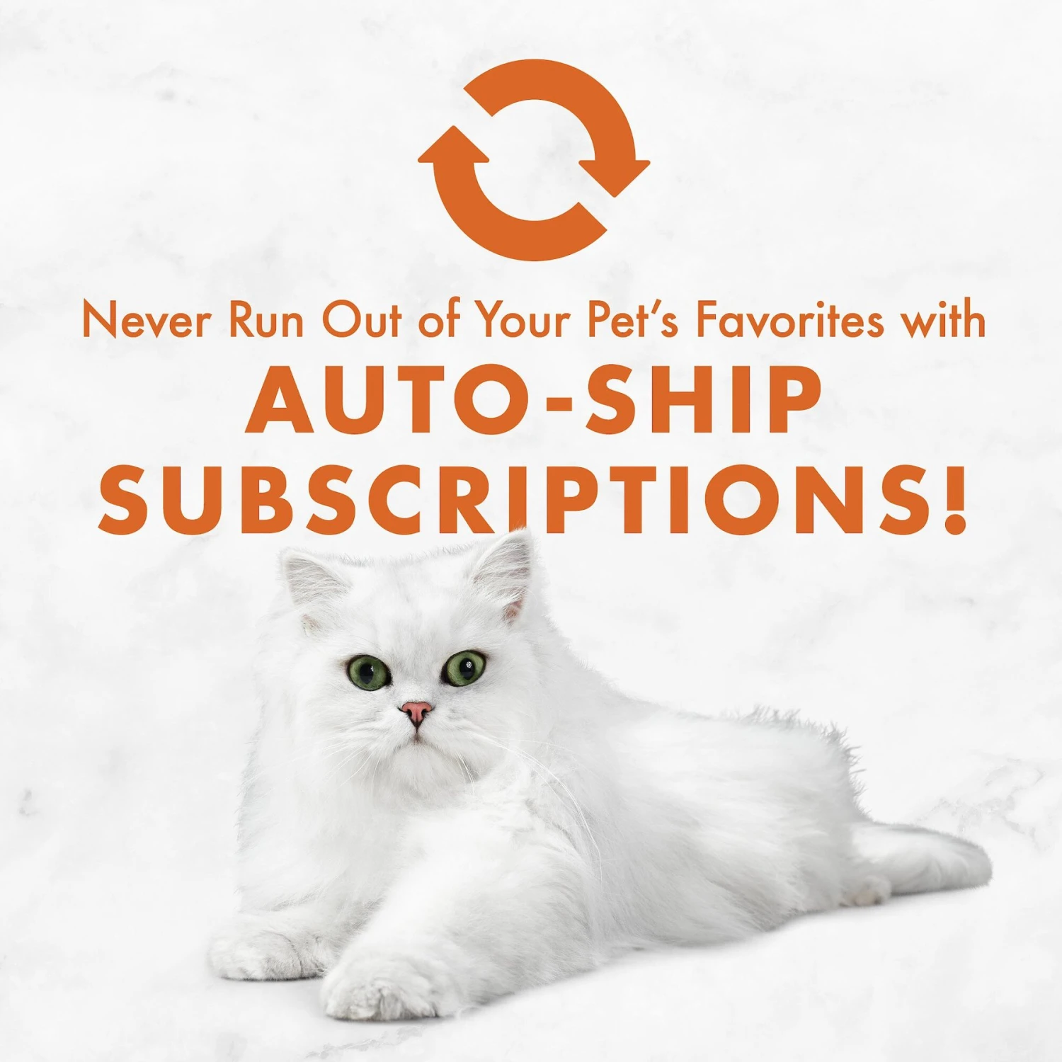 Fancy Feast Savory Centers Chicken Canned Cat Food 9 Fancy Feast Savory Centers Chicken Canned Cat Food - Image 9