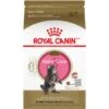 Royal Canin Feline Breed Nutrition Maine Coon Kitten Dry Cat Food, 3-lb Bag