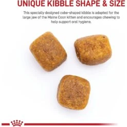 Royal Canin Feline Breed Nutrition Maine Coon Kitten Dry Cat Food, 3-lb Bag -Wellness Sales 169731 PT3. AC SS1800 V1695054142