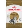 Royal Canin Feline Breed Nutrition American Shorthair Adult Dry Cat Food
