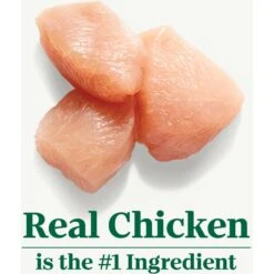 Nutro Wholesome Essentials Chicken & Brown Rice Recipe Kitten Dry Cat Food -Wellness Sales 175960 PT3. AC SS1800 V1702665882