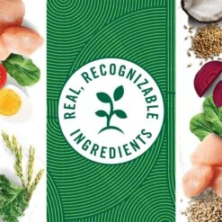 Nutro Wholesome Essentials Chicken & Brown Rice Recipe Kitten Dry Cat Food -Wellness Sales 175960 PT7. AC SS1800 V1702665978