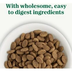 Nutro Wholesome Essentials Sensitive Cat Chicken, Rice & Peas Recipe Adult Dry Cat Food -Wellness Sales 176458 PT3. AC SS1800 V1702665939