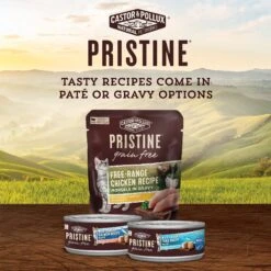 Castor & Pollux Pristine Grain-Free Wild-Caught Tuna Recipe Morsels In Gravy Cat Food Pouches -Wellness Sales 176637 PT4. AC SS1800 V1702939198