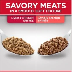 Hill's Science Diet Kitten Liver & Chicken & Savory Salmon Variety Pack Canned Cat Food 11 Hill's Science Diet Kitten Liver & Chicken & Savory Salmon Variety Pack Canned Cat Food -Wellness Sales 181111 PT2. AC SS1800 V1598151983