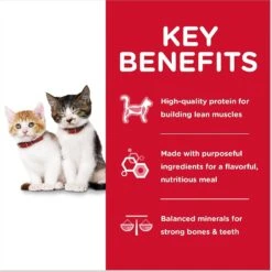 Hill's Science Diet Kitten Liver & Chicken & Savory Salmon Variety Pack Canned Cat Food 13 Hill's Science Diet Kitten Liver & Chicken & Savory Salmon Variety Pack Canned Cat Food -Wellness Sales 181111 PT4. AC SS1800 V1598141774