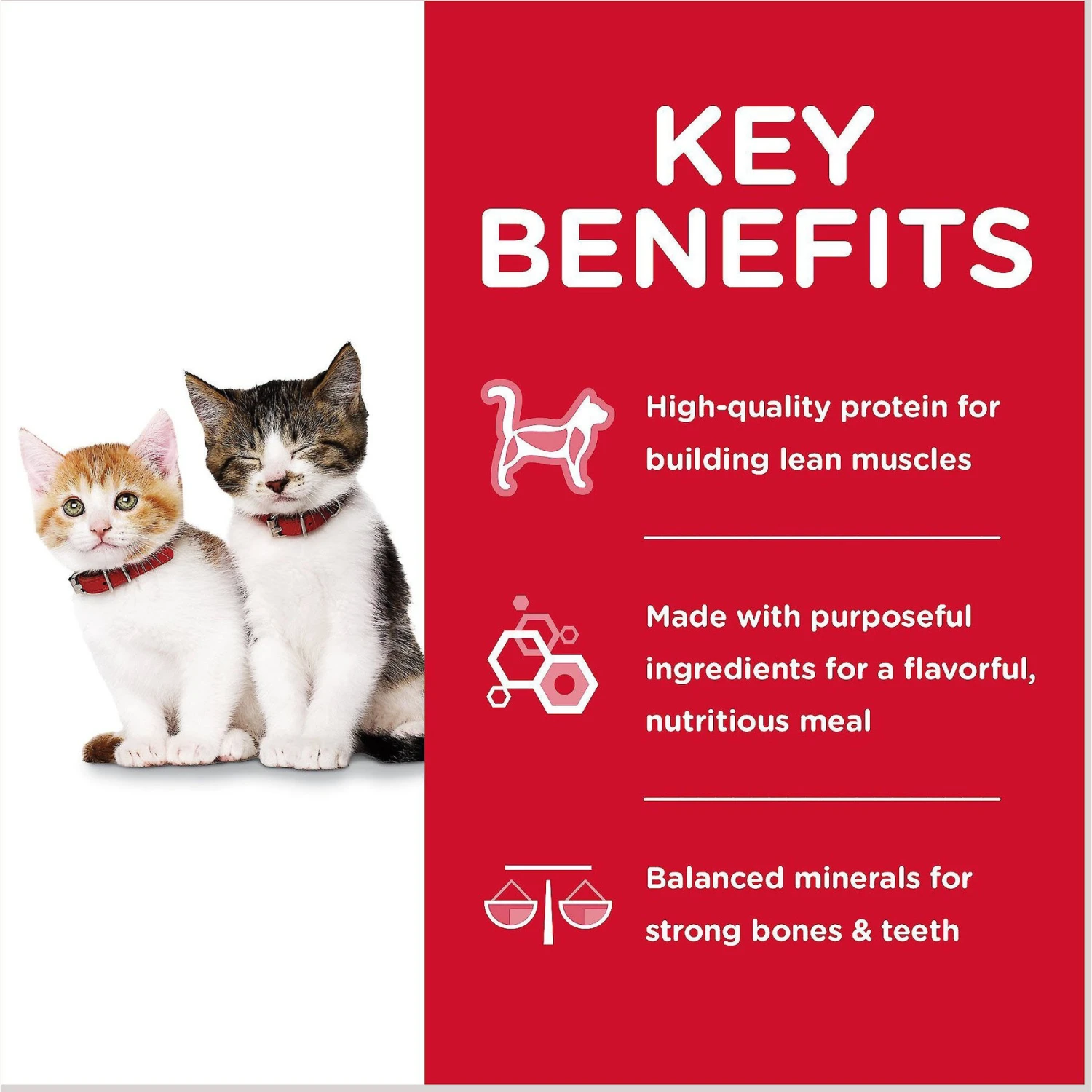 Hill's Science Diet Kitten Liver & Chicken & Savory Salmon Variety Pack Canned Cat Food 5 Hill's Science Diet Kitten Liver & Chicken & Savory Salmon Variety Pack Canned Cat Food - Image 5