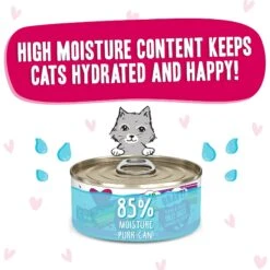 BFF OMG Dilly Dally! Tuna & Duck Flavor Wet Canned Cat Food -Wellness Sales 182247 PT3. AC SS1800 V1647911824
