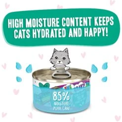 BFF OMG Tell Me! Tuna & Turkey Flavor Wet Canned Cat Food -Wellness Sales 182255 PT3. AC SS1800 V1647914237