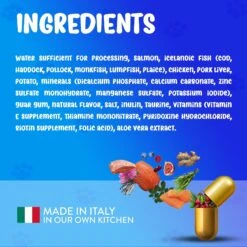 Forza10 Nutraceutic ActiWet Dermo Support Icelandic Fish Recipe Canned Cat Food -Wellness Sales 183199 PT4. AC SS1800 V1643740610