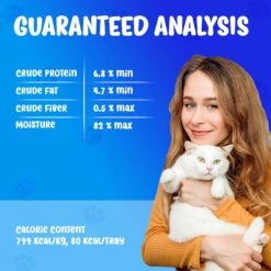 Forza10 Nutraceutic ActiWet Dermo Support Icelandic Fish Recipe Canned Cat Food -Wellness Sales 183199 PT7. AC SS1800 V1643740662