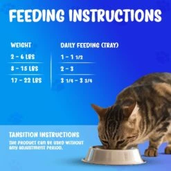 Forza10 Nutraceutic ActiWet Dermo Support Icelandic Fish Recipe Canned Cat Food -Wellness Sales 183199 PT8. AC SS1800 V1643740929