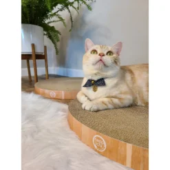 Necoichi Cozy Cat Scratcher Bowl Replacement Pad 14 Necoichi Cozy Cat Scratcher Bowl Replacement Pad -Wellness Sales 183519 PT5. AC SS1800 V1647460001