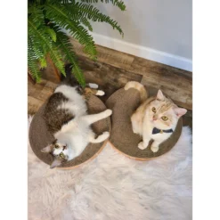 Necoichi Cozy Cat Scratcher Bowl Replacement Pad 15 Necoichi Cozy Cat Scratcher Bowl Replacement Pad -Wellness Sales 183519 PT6. AC SS1800 V1647461232