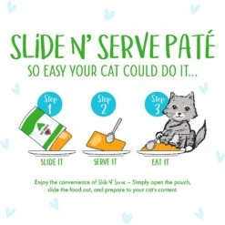 BFF Play Pate Lovers Turkey & Tuna Twinkles Wet Cat Food, 3-oz Pouch, Pack Of 12 12 BFF Play Pate Lovers Turkey & Tuna Twinkles Wet Cat Food, 3-oz Pouch, Pack Of 12 -Wellness Sales 192282 PT3. AC SS1800 V1649119640