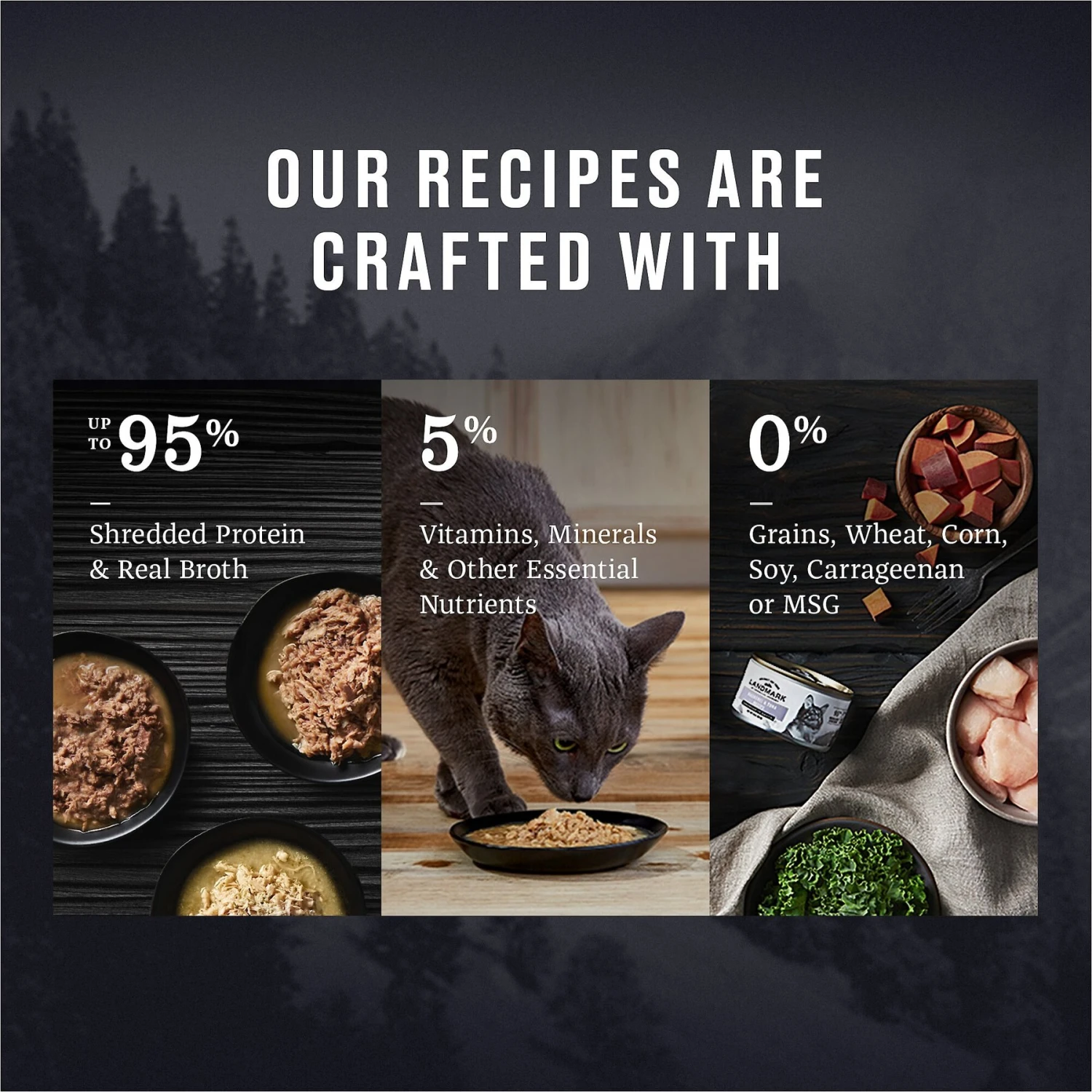 American Journey Landmark Chicken Recipe In Broth Grain-Free Canned Cat Food, 3-oz, Case Of 12 4 American Journey Landmark Chicken Recipe In Broth Grain-Free Canned Cat Food, 3-oz, Case Of 12 - Image 4