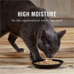 American Journey Landmark Chicken Recipe In Broth Grain-Free Canned Cat Food, 3-oz, Case Of 12 14 American Journey Landmark Chicken Recipe In Broth Grain-Free Canned Cat Food, 3-oz, Case Of 12 -Wellness Sales 193492 PT5. AC SS1800 V1582123987