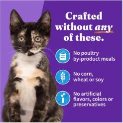 Halo Whitefish Recipe With Real Whole Whitefish Pate Grain-Free Wet Kitten Food 12 Halo Whitefish Recipe With Real Whole Whitefish Pate Grain-Free Wet Kitten Food -Wellness Sales 194495 PT5. AC SS1800 V1682351701