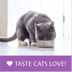 Atta Cat Chicken & Salmon Flavor Dry Cat Food -Wellness Sales 196201 PT8. AC SS1800 V1612827723