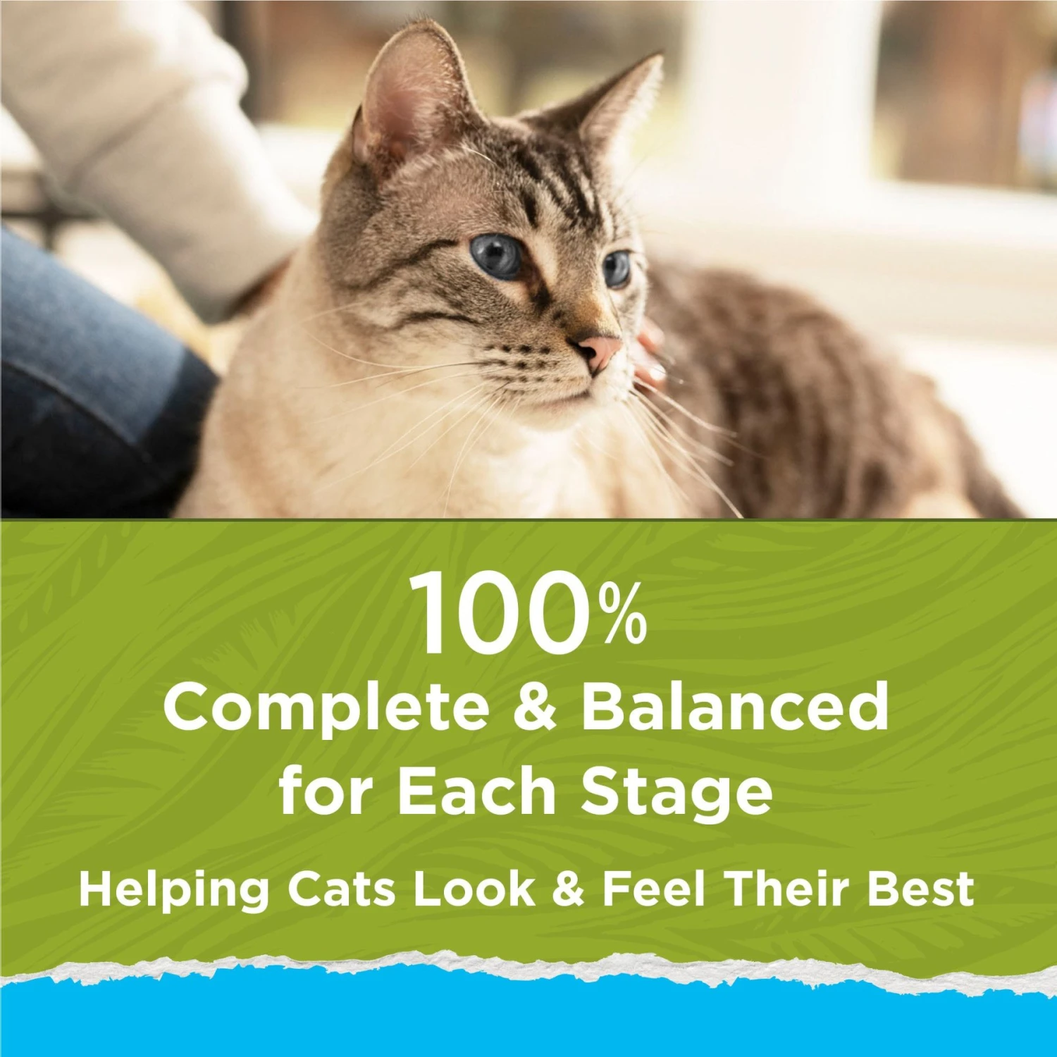 Cat Chow Naturals Indoor With Real Chicken & Turkey Dry Cat Food 7 Cat Chow Naturals Indoor With Real Chicken & Turkey Dry Cat Food - Image 7