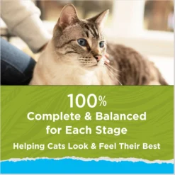 Cat Chow Naturals Indoor With Real Chicken & Turkey Dry Cat Food 16 Cat Chow Naturals Indoor With Real Chicken & Turkey Dry Cat Food -Wellness Sales 202717 PT7. AC SS1800 V1695845947