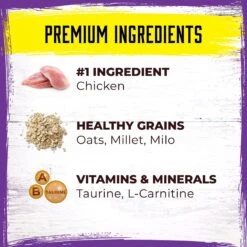 Inception Chicken Recipe Dry Cat Food -Wellness Sales 205302 PT2. AC SS1800 V1642546899