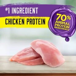Inception Chicken Recipe Dry Cat Food -Wellness Sales 205302 PT3. AC SS1800 V1642561709
