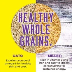 Inception Chicken Recipe Dry Cat Food -Wellness Sales 205302 PT4. AC SS1800 V1642564062