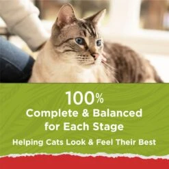 Purina Cat Chow Naturals Original With Added Vitamins, Minerals & Nutrients Dry Cat Food -Wellness Sales 211440 PT6. AC SS1800 V1695845925