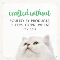 Fancy Feast Gourmet Naturals White Meat Chicken Recipe Grain-Free Pate Kitten Canned Cat Food, 3-oz Can, Case Of 12 15 Fancy Feast Gourmet Naturals White Meat Chicken Recipe Grain-Free Pate Kitten Canned Cat Food, 3-oz Can, Case Of 12 -Wellness Sales 214807 PT6. AC SS1800 V1677102857