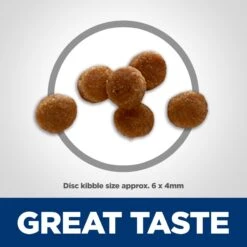 Hill's Science Diet Kitten Chicken & Brown Rice Recipe Dry Cat Food 11 Hill's Science Diet Kitten Chicken & Brown Rice Recipe Dry Cat Food -Wellness Sales 215365 PT2. AC SS1800 V1614206182