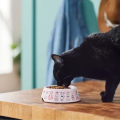Frisco Pink Cute Cats Melamine Bowl -Wellness Sales 216043 PT7. AC SS1800 V1633025211