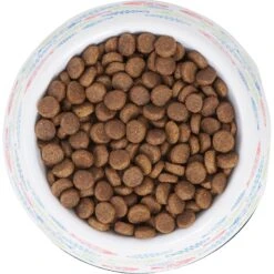 Frisco Colorful Fish Melamine Bowl -Wellness Sales 216047 PT4. AC SS1800 V1591020721