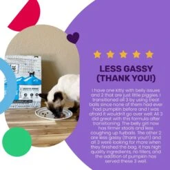 I And Love And You Naked Essentials Digestive Support Chicken And Pumpkin Recipe Dry Cat Food, 3.4-lb Bag -Wellness Sales 217319 PT3. AC SS1800 V1688157467