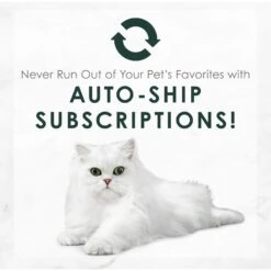 Fancy Feast Senior 7+ Chicken, Beef & Tuna Feasts Variety Pack Canned Cat Food 17 Fancy Feast Senior 7+ Chicken, Beef & Tuna Feasts Variety Pack Canned Cat Food -Wellness Sales 217432 PT8. AC SS1800 V1691419338