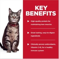 Hill's Science Diet Adult Chicken & Spinach Casserole Recipe Cat Food, 2.8-oz Pouch, Case Of 24 13 Hill's Science Diet Adult Chicken & Spinach Casserole Recipe Cat Food, 2.8-oz Pouch, Case Of 24 -Wellness Sales 218067 PT4. AC SS1800 V1598153187