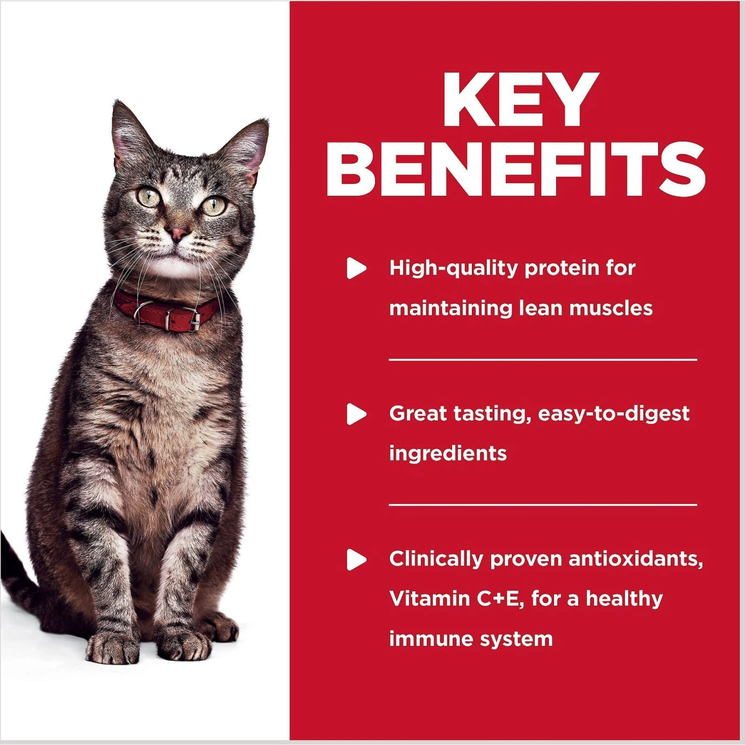 Hill's Science Diet Adult Chicken & Spinach Casserole Recipe Cat Food, 2.8-oz Pouch, Case Of 24 5 Hill's Science Diet Adult Chicken & Spinach Casserole Recipe Cat Food, 2.8-oz Pouch, Case Of 24 - Image 5