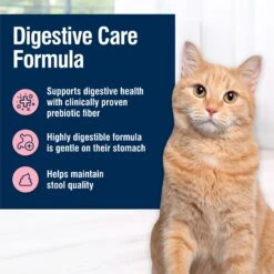 Blue Buffalo True Solutions Blissful Belly Digestive Care Formula Dry Cat Food -Wellness Sales 218292 PT3. AC SS1800 V1696449692