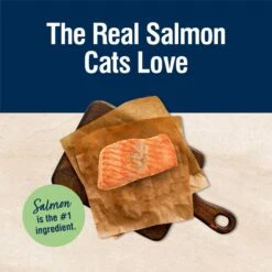 Blue Buffalo True Solutions Perfect Skin & Coat Natural Salmon Adult Dry Cat Food -Wellness Sales 218303 PT2. AC SS1800 V1696449937